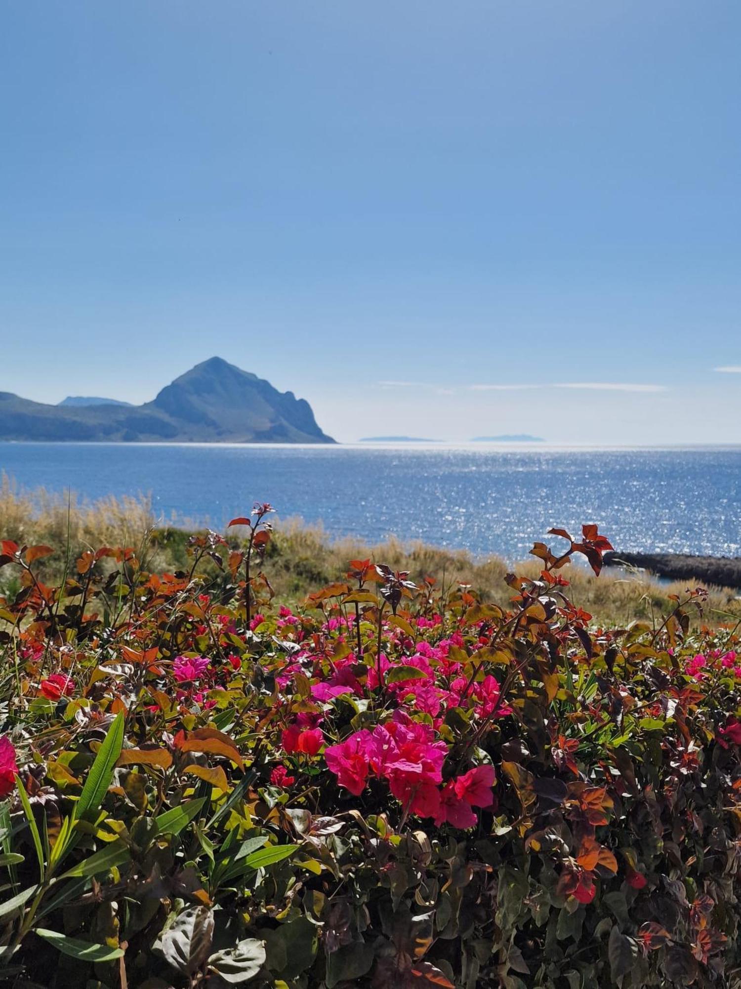 Villetta Isulidda Macari San Vito Lo Capo Eksteriør billede